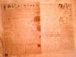 13711e1c.jpg