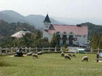 Y346128022.jpg