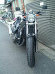 d40c8036.jpg