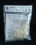 1cd8ec97.JPG