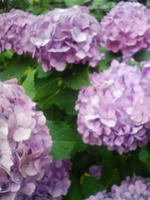 f4e8b728.jpg