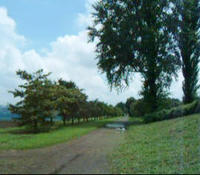 009_0001.jpg