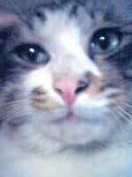 04a867d9.jpg