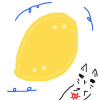 mango-.jpg
