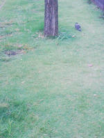 7a059016.jpg