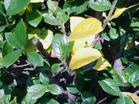 57e6a45a.jpg