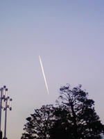 c2f8399f.jpg