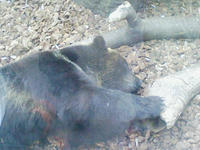 7f138a6a.jpg