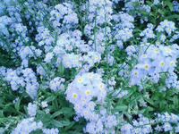 a6779f95.jpg