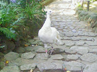 aafd5967.jpg