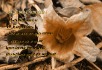 7f62c6a5.jpg