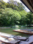 090825_1253~01.jpg