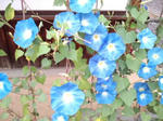 HI3H0307.jpg