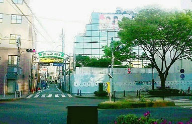 表XAN道