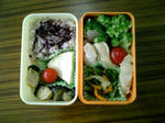 今日のお弁当