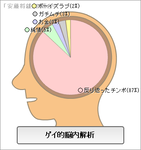 ガチな解析結果