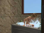 snapshot_74bcd401_34be1233.jpg