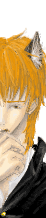 nekotaichi.gif