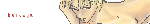 katsuya.gif