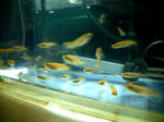 20032902.jpg