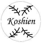 Koshien.jpeg