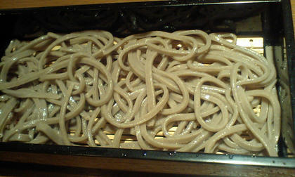 09040809.JPG