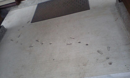 09060603.JPG