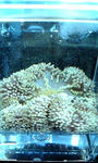 100219_200643.jpg