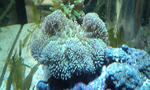 100223_080555.jpg