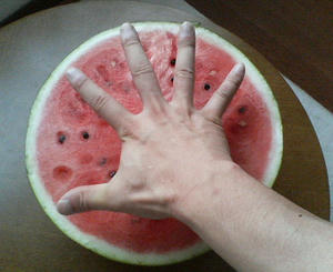 P1020116.JPG