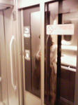NEC_0140.JPG