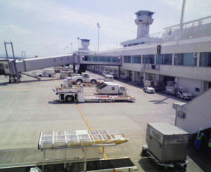 NEC_0154.JPG