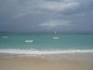 IMG_2067.jpg
