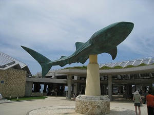 IMG_2139.jpg