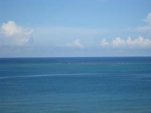 IMG_2285.jpg