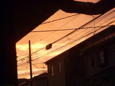 8437e388.jpg