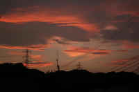 IMG_6752.JPG