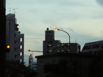 16b09802.JPG