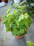 f79648d7.JPG