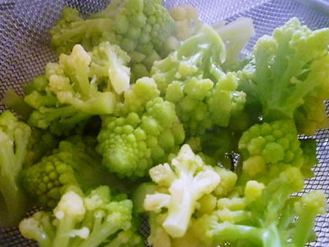 P1040412.JPG