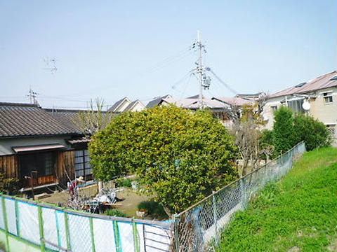 P1040481.JPG