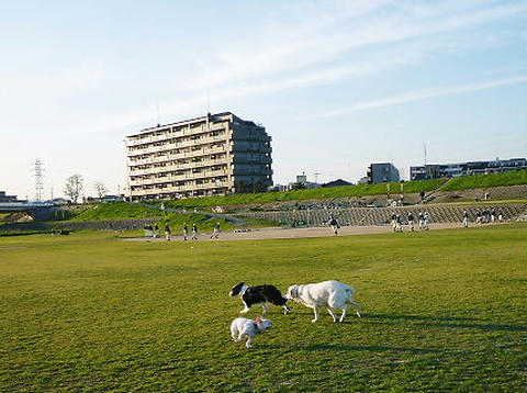 P1040705.JPG