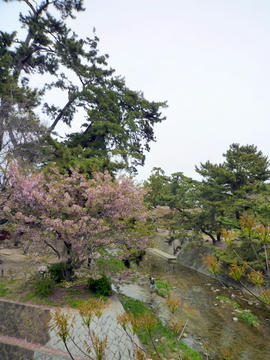 P1040799-1.JPG