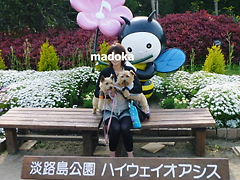 P1050065.JPG