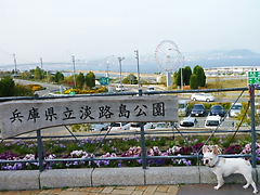 P1050074.JPG
