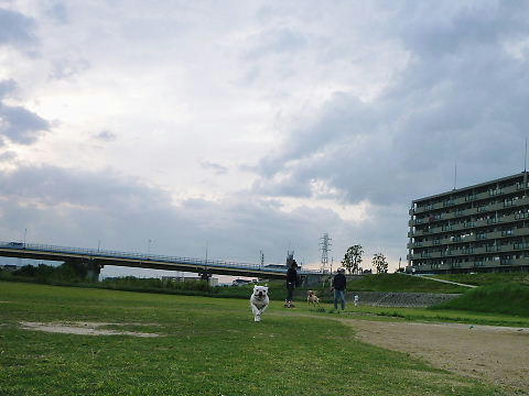 P1050336.JPG