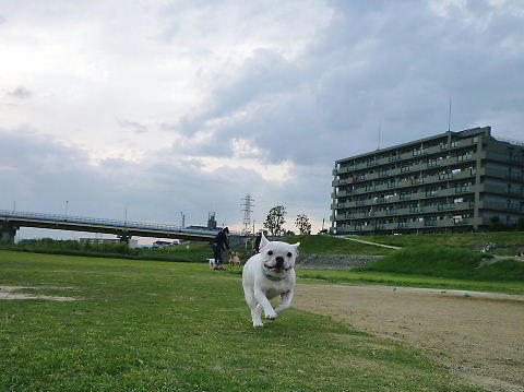P1050337.JPG