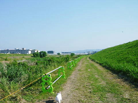 P1050352.JPG