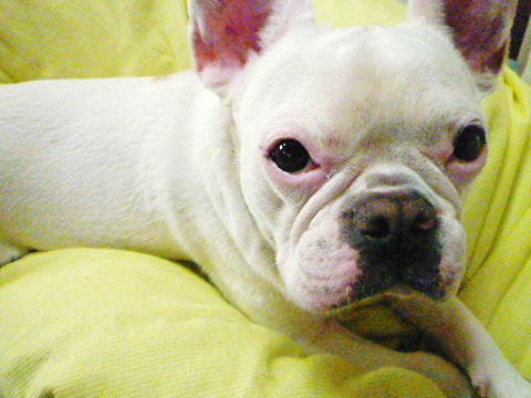 P1050465.JPG