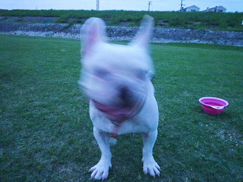 P1050541.JPG